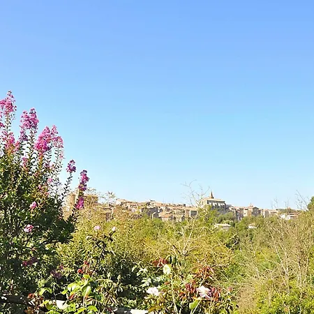 Apartman Montecasciano Ciclamino