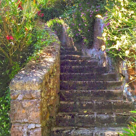 Montecasciano Ciclamino *