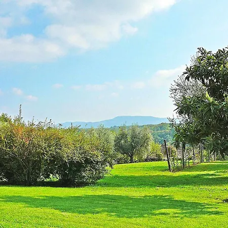 Montecasciano Ciclamino * Capranica