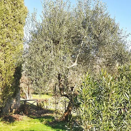 Montecasciano Ciclamino Apartment *